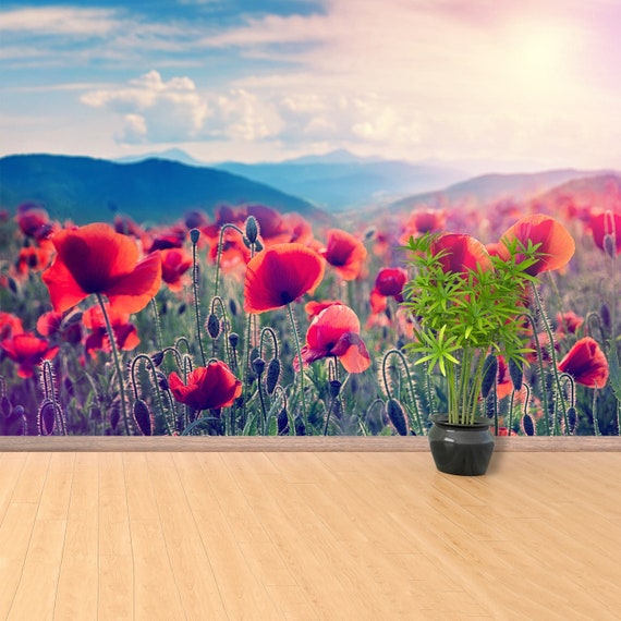 wallcovering Field of poppies on a sunset wallmural repositonable photomural mural photo Poppies Field traditional or removal mural