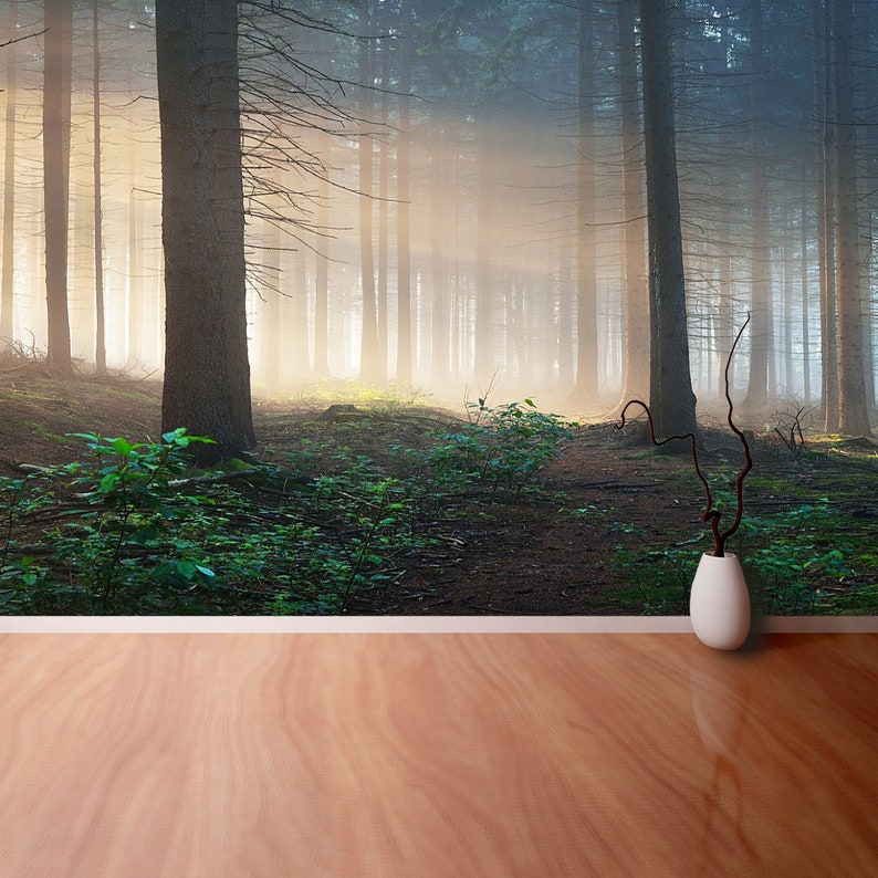 wallcovering Sun rays in a dark misty forest Osnabruck Sun rays traditional paste /& glue or removable photo wallpaper Gemany non woven