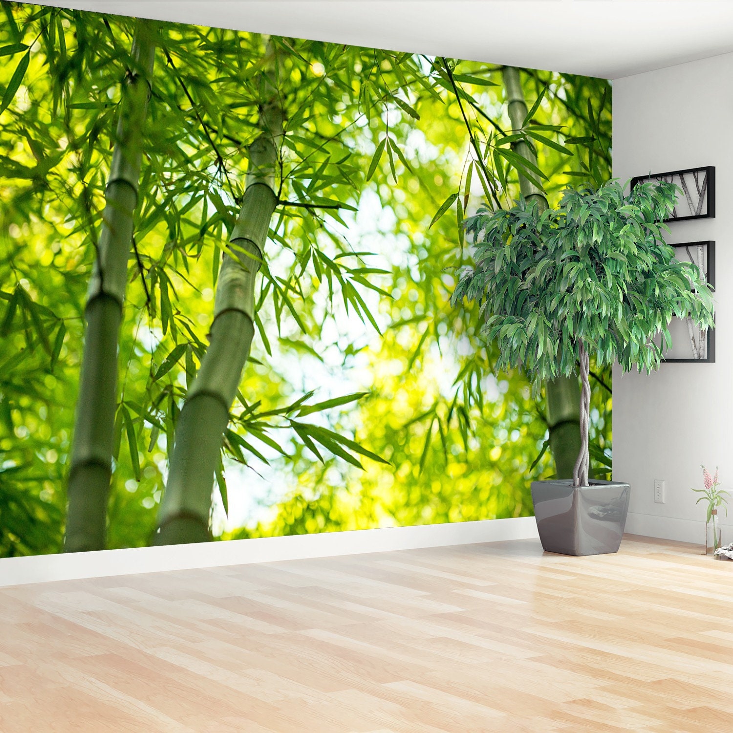 Bamboo Branch Temporary or Traditional Photo Mural Wallpaper - Etsy