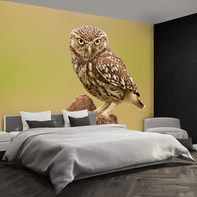 Owl Bird peel&stick or non-woven photo wallpaper mural A | Etsy