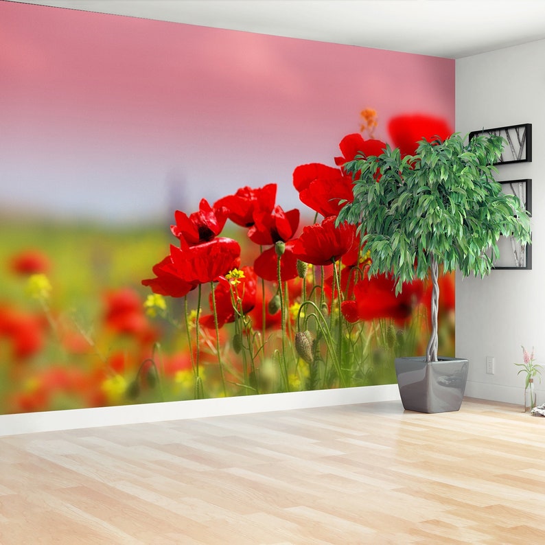 wallcovering Field of poppies on a sunset wallmural repositonable photomural mural photo Poppies Field traditional or removal mural