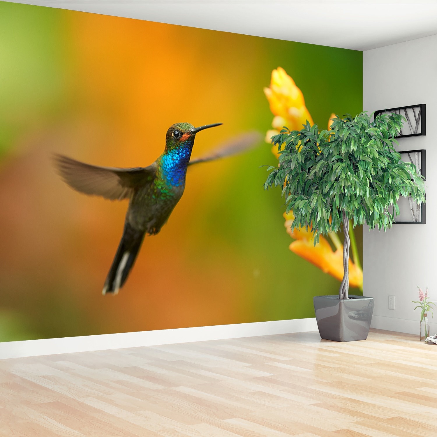 Hummingbird vlies or selfadhesive wall mural wallpaper Etsy