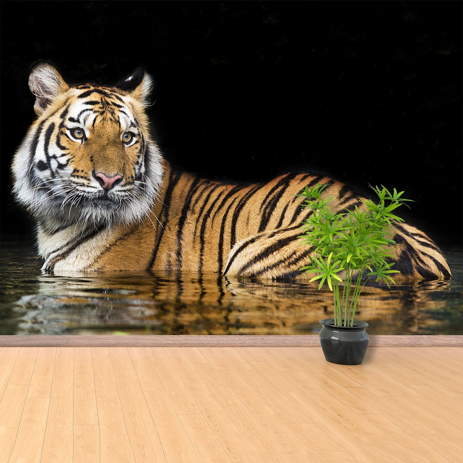 Bengal Tiger Cat Traditional or Removal Photo Mural - Etsy Israel Bengal Tiger Cat Traditional or Removal Photo Mural - Etsy Israel