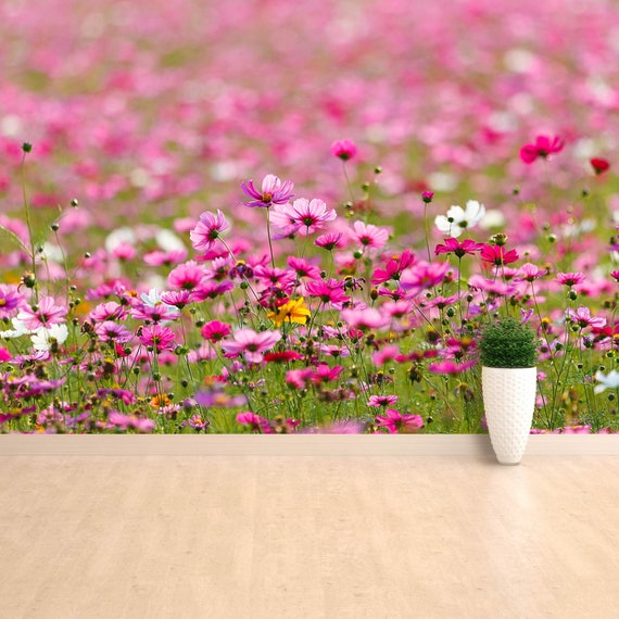 Cosmos Flowers Reusable or Traditional Photo Wallpaper Mural - Etsy