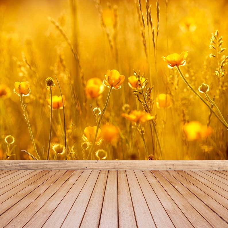 Meadow Flowers reusable or traditional photo wallpaper mural Rays of the setting sun on yellow flowers meadow flowers mural photo
