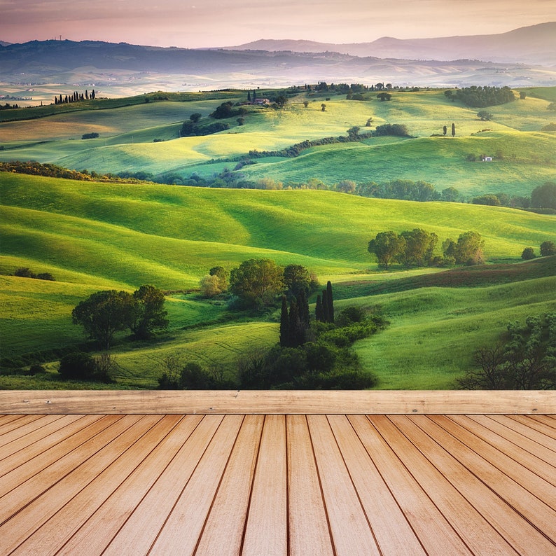wallcovering Gorgeous greens in the landscape and with light painted Italian Meadows reusable or traditional wall mural removable mural