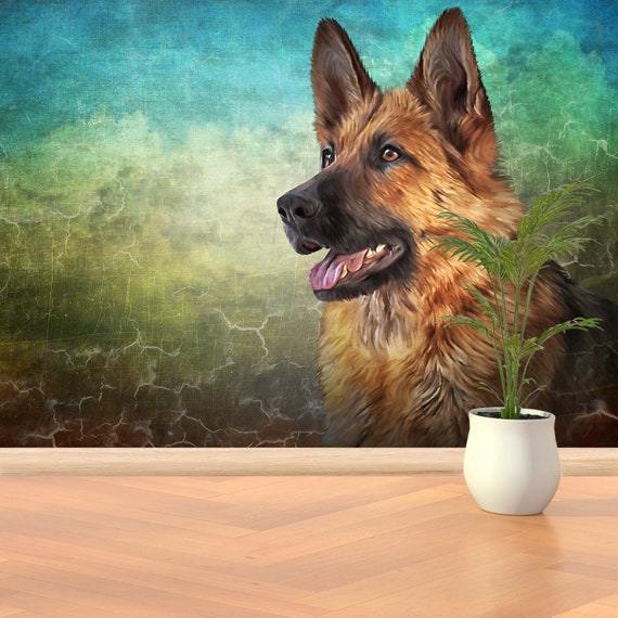 traditional german shepherd