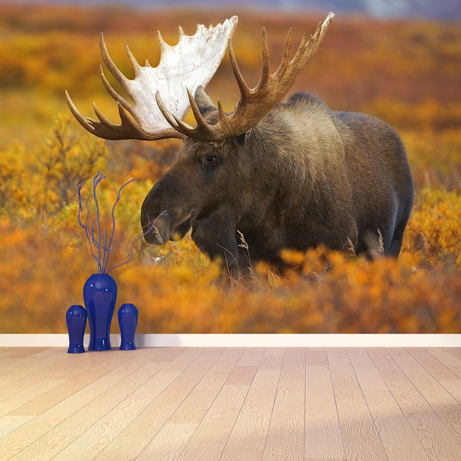 Moose Wallpaper and Background  Animals Town