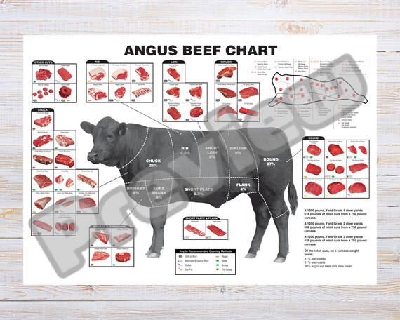 Angus Beef Chart Poster big Sized Kitchen Decor Butcher - Etsy