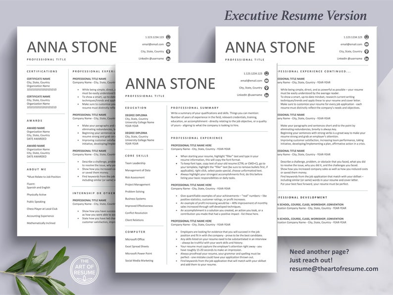 Resume Templates for Word & Mac Pages, Professional Resume Templates ...