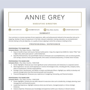 Executive Resume Template, Professional Resume CV, Director Resume, Manager Resume, 1 2 3 Page Resume Template Bundle, Accountant Resume CV