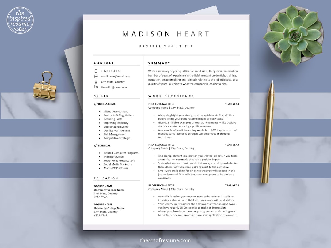 Basic And Precise Cv Example Free Basic Cv Template