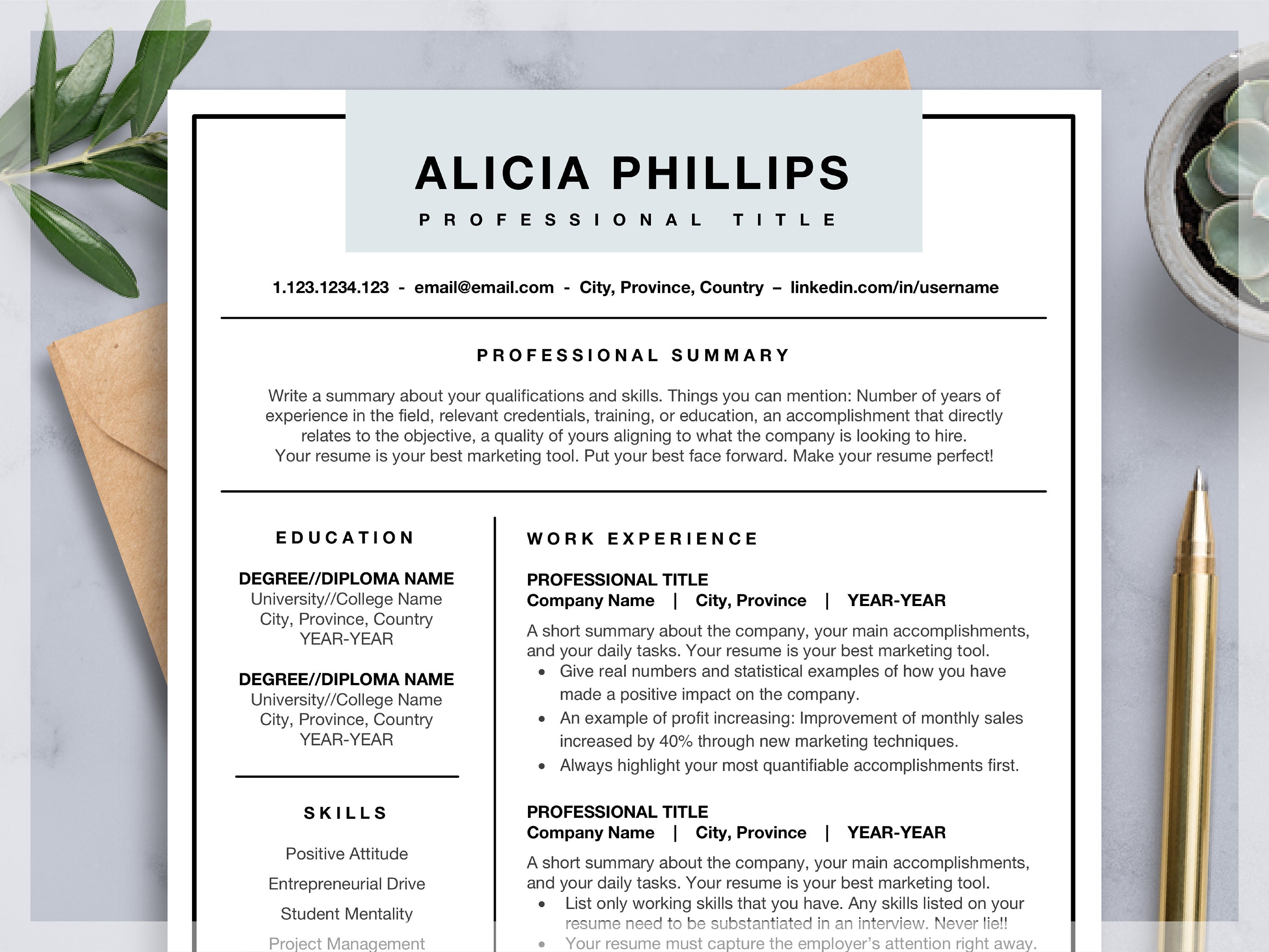 Professional Resume Template For Word Mac Pages Modern Etsy