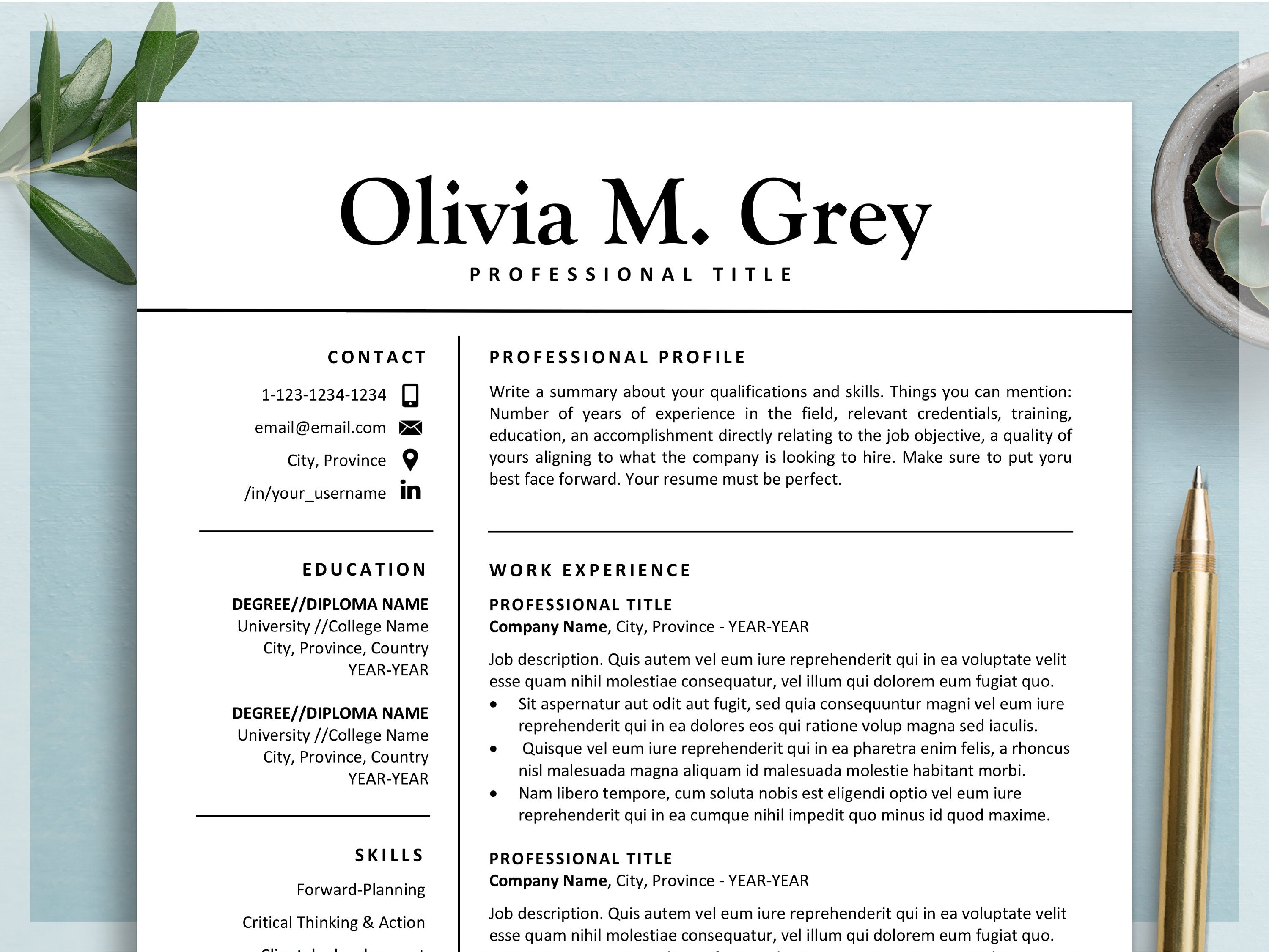 Best Resume Template For Ms Word Apple Pages Creative Etsy