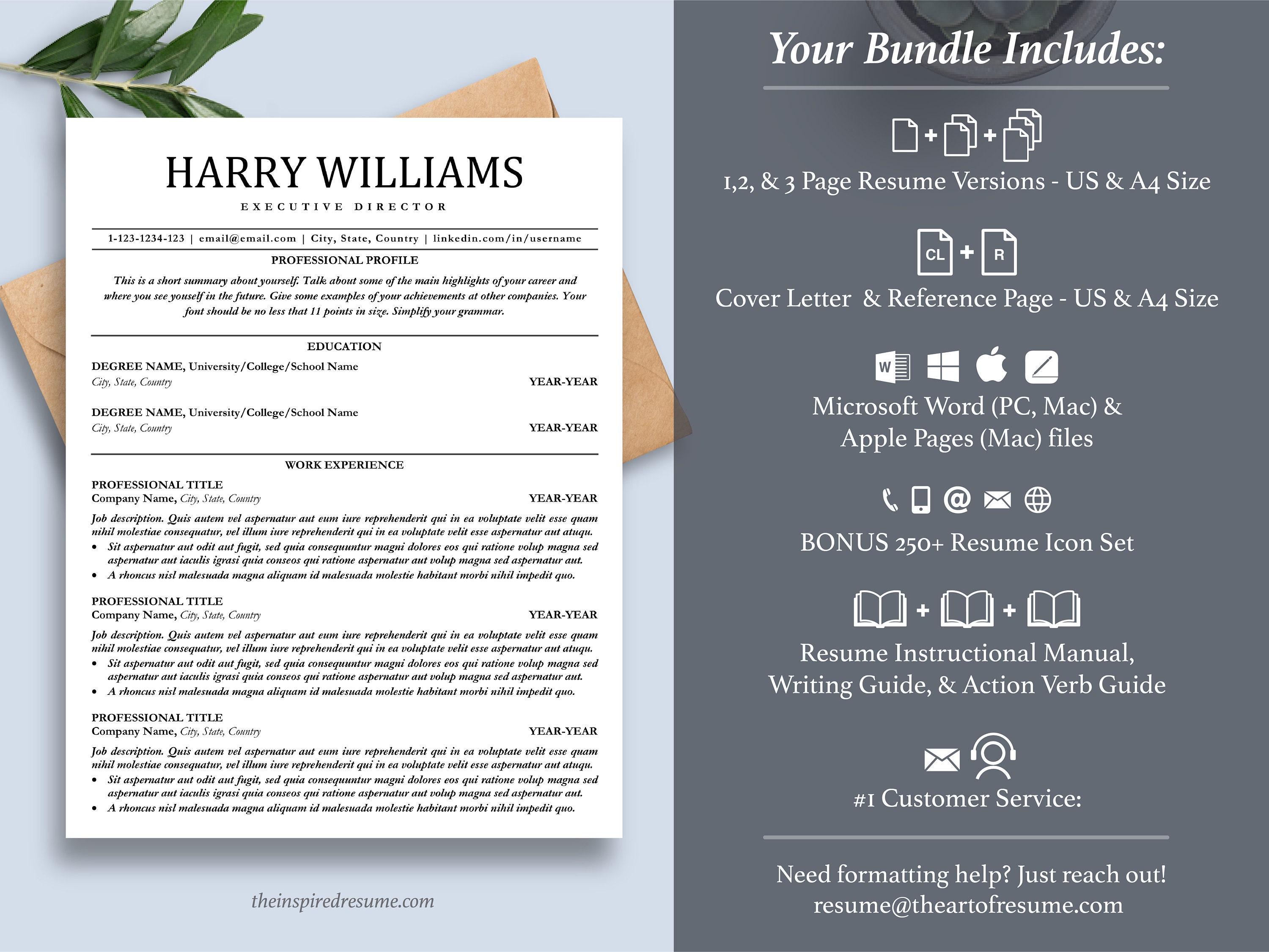 Google Docs Resume Template Word Mac Pages Professional - Etsy