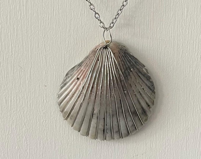 light gray pierced Atlantic bay scallop necklace with silver - foraged from Outer Banks