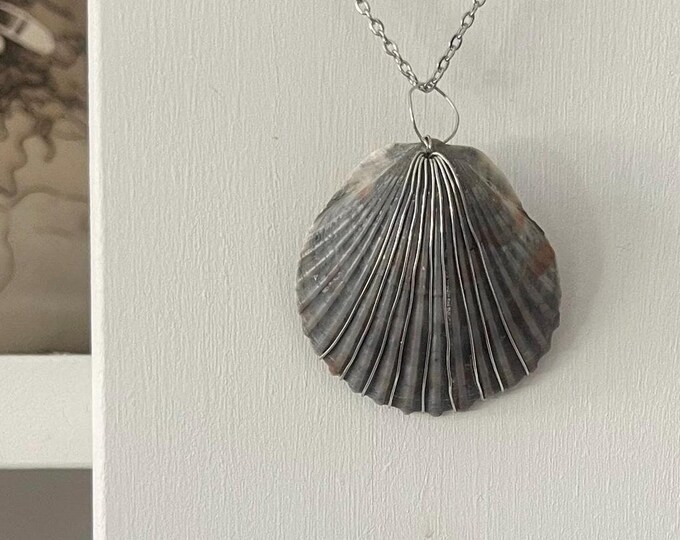 blue red pierced calico scallop shell necklace with silver - foraged from Outer Banks