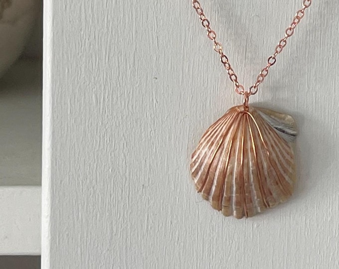 pink gold pierced Atlantic bay scallop necklace with copper - foraged from Outer Banks