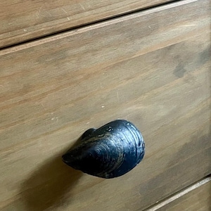 May include: Two black shell-shaped drawer pulls are mounted on a wooden dresser.