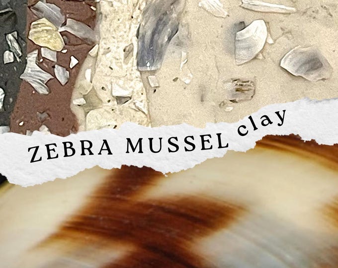 Zebra Mussel Clay – Freshwater Shell Infused Polymer, 2 oz Artisan Clay with Natural Fragments, Kenosha Wisconsin Lake Clay