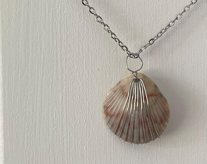 red blue pierced calico scallop necklace with silver - foraged from Outer Banks