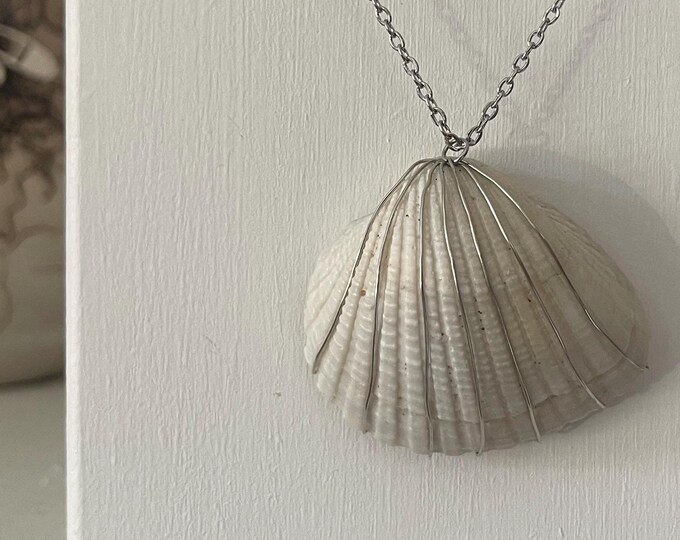 white cream pierced incongruous ark shell necklace with silver - foraged from Outer Banks