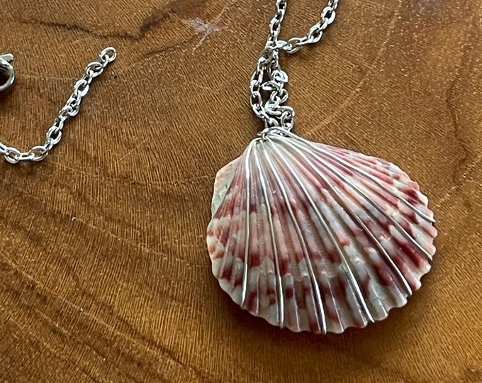 magenta pierced calico scallop necklace with silver - foraged from Outer Banks