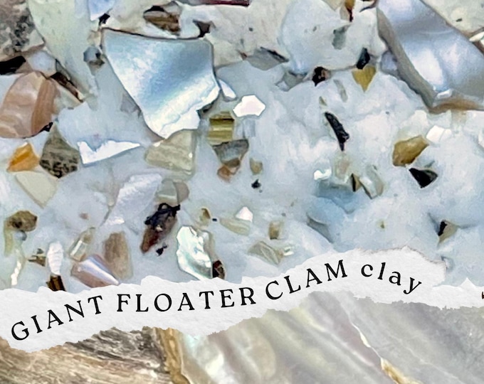 Freshwater Mussel Polymer Clay: Artisan Crafted, Chicago River Shells