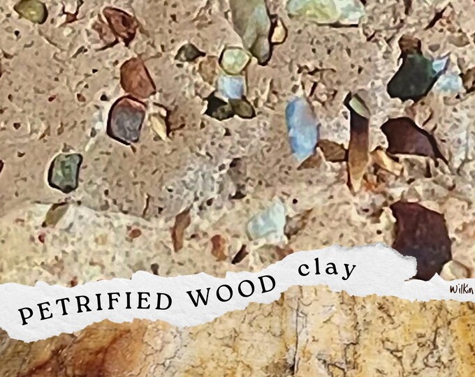 Petrified Wood Polymer Clay: Artisan Blend with Foraged Fossil Fragments