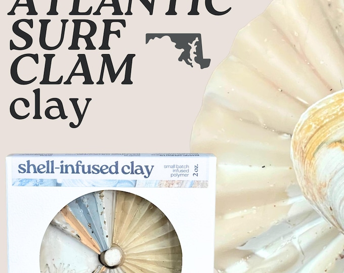 Atlantic Surf Clam Polymer Clay: Coastal Artisan Blend, Assateague Shells