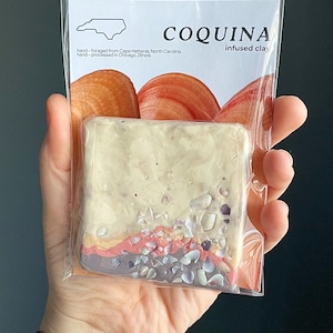 Coquina Shell-Infused Polymer Clay • North Carolina Coastal Texture Clay for Ocean-Inspired Art & Jewelry