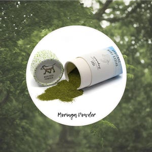 Moringa Oleifera powder from Zanzibar, hand-picked from the spice island, flawless, natural & pure, organic spices, EU-certified