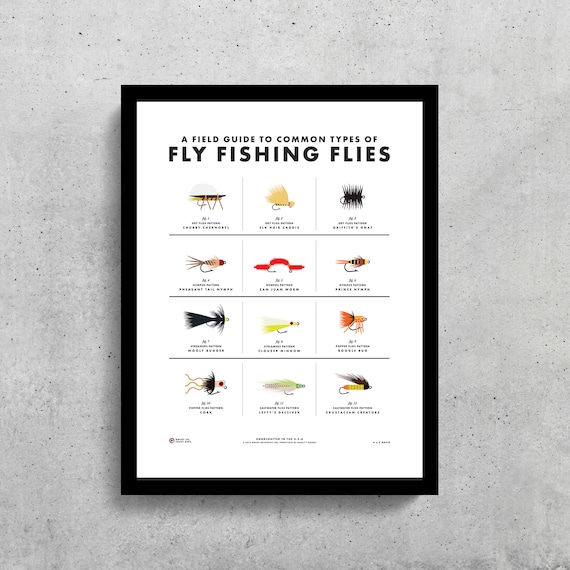 bottom net fishing Silver Catch Cast for Bait Fishing, Chain Bottom, 5ft Radius 3/8