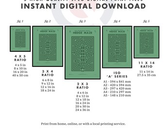 Overlook Hotel Hedge Maze Print, Minimalist Wall Art - Etsy