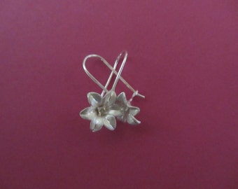 Flower with zirconia earrings in silver