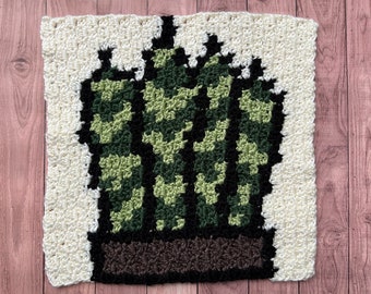 Snake Plant Blanket Square - C2C Crochet Pattern - Instant PDF Download