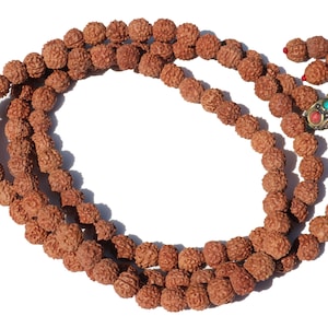 May include: A brown mala bead necklace with a silver and turquoise bead accent. The necklace is made of 108 beads and is used for meditation and prayer.
