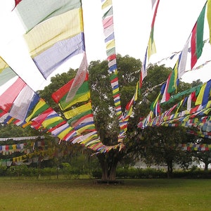 May include: A large tree with colorful prayer flags strung from its branches. The flags are a mix of red, yellow, blue, green, and white. The tree is in a grassy field.