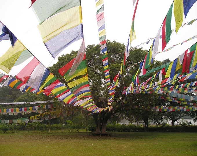 Tibetan Prayer Flag 10 x 10 Large Roll of 25 Flags – Traditional Design with 5 Element Colors–Lung Ta Wind Horse Buddhist Prayer Flag