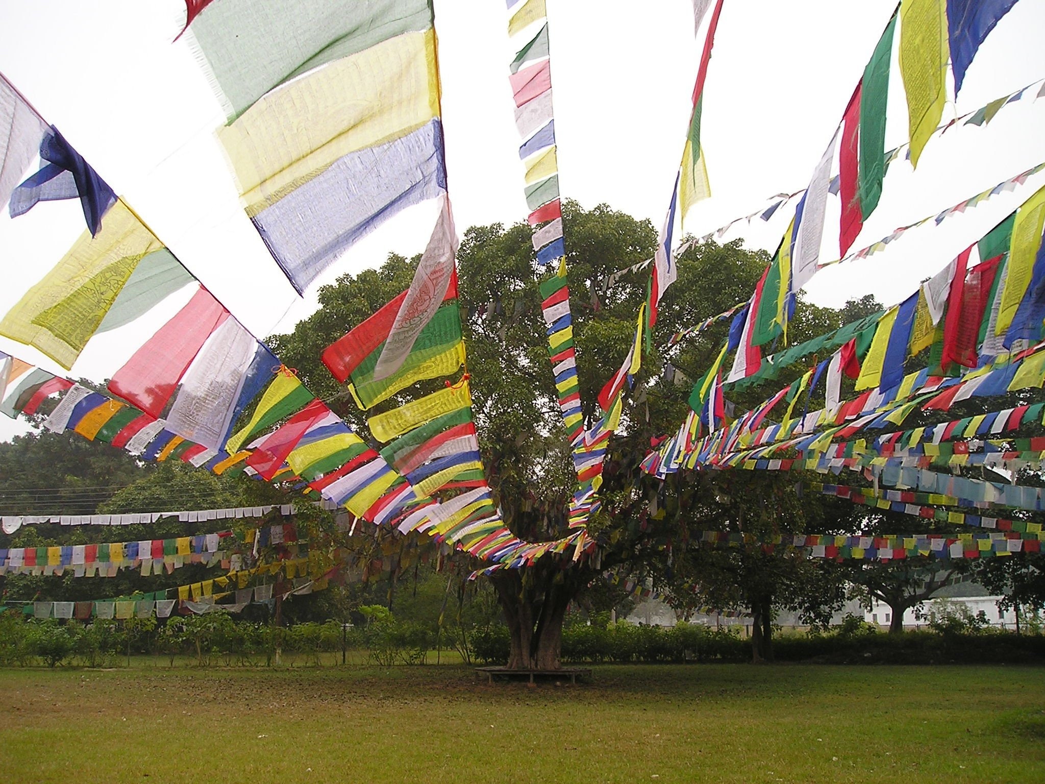 Buddhist Prayer Flag - Etsy Canada Buddhist Prayer Flag - Etsy Canada