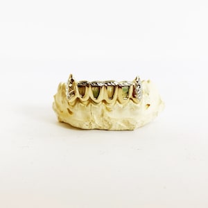 6 teeth (extended fangs, 4 middle open face, rhodium cut fangs and inner bridge)