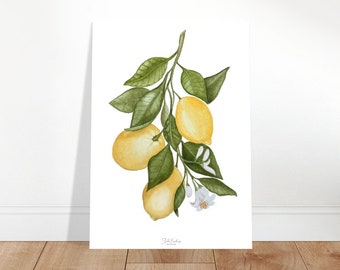 Poster Zitronen Botanisches Aquarell
