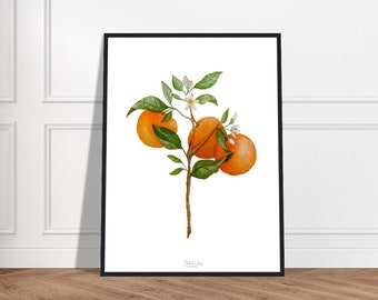 Oranges watercolor botanical poster - framed