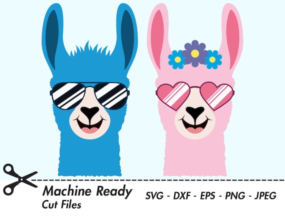 Download Cute Llama Svg Cut Files Png Llamas Clipart Farmhouse Clip Etsy
