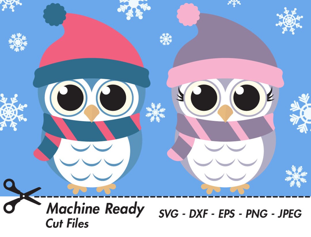 Cute Winter Owl SVG Cut Files, PNG Owls Clipart, Baby Owl Art, Fall ...