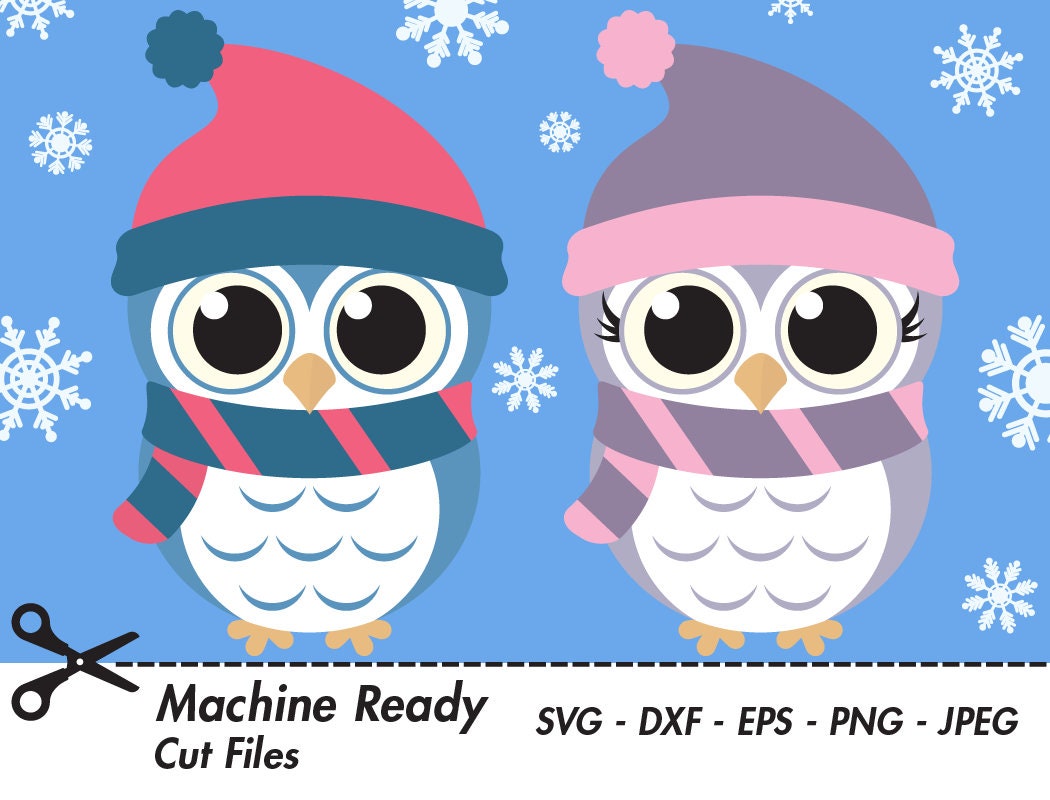 Cute Winter Owl SVG Cut Files, PNG owls clipart, baby owl art, fall clip art, printable woodland ani