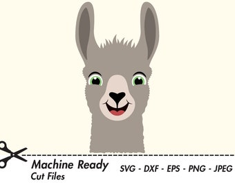 Cute Llama SVG Cut Files, PNG llamas clipart, farmhouse clip art, happy llama face, boy, printable ranch animal vector, llama head