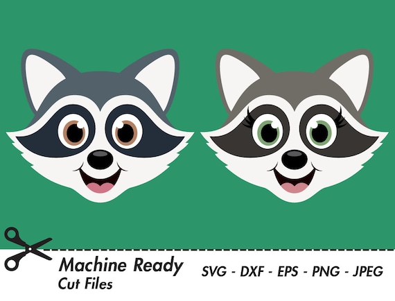 Cute Raccoon SVG Cut Files, PNG raccoons clipart, woodland clip art, happy forest animal face, baby raccoon head, spring animals, girl, boy