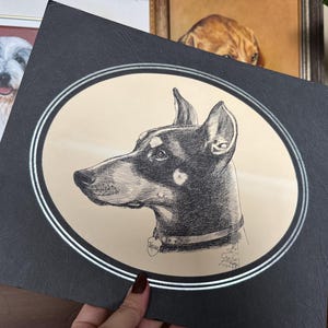 Arte vintage con penna e inchiostro di Steve Carter / Ritratto di un doberman degli anni '80 / Stampa di un artista canadese / Arte originale Carter Craft