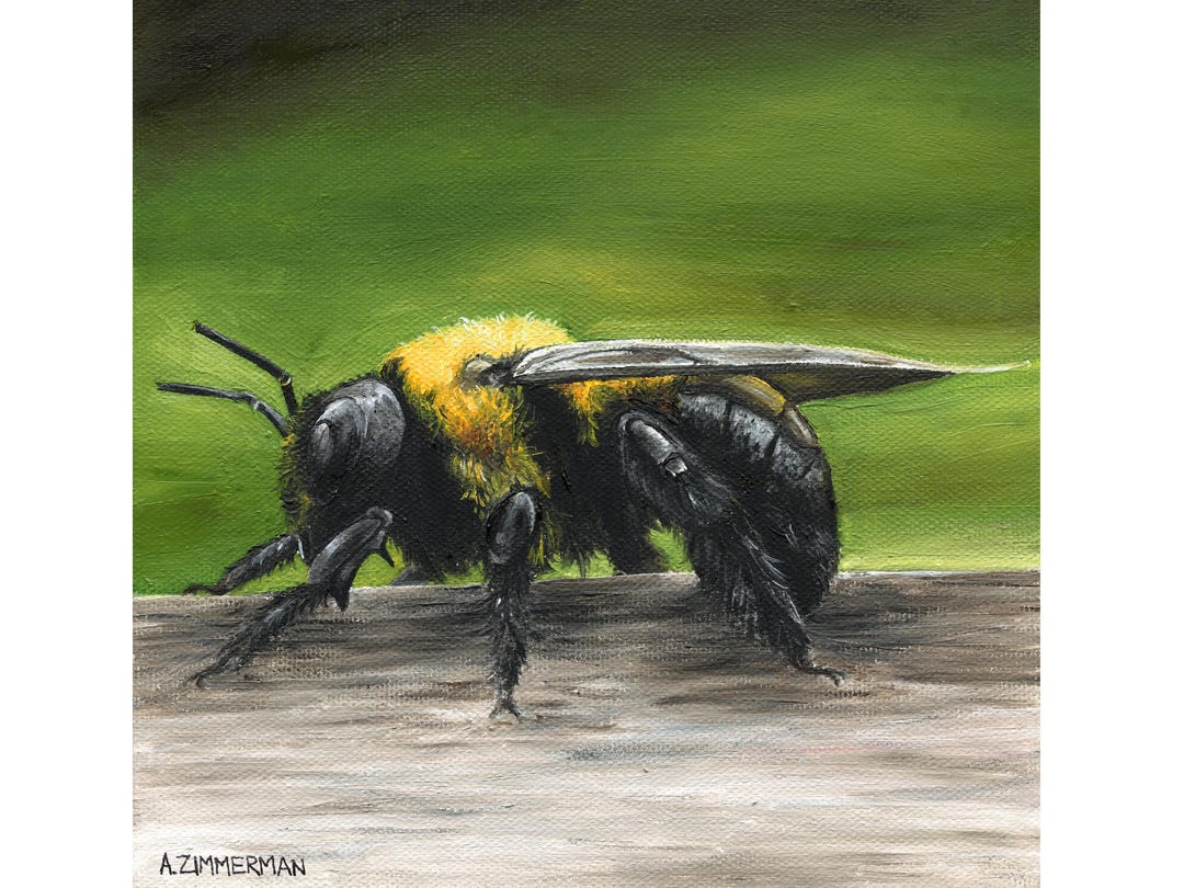 Bumblebee Art Print • Bee Wall Art • Nature Painting • Wildlife Home ...